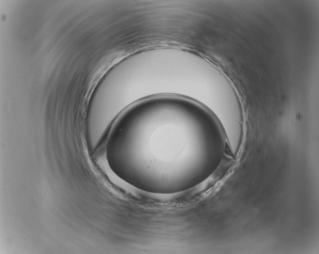 X0000052960049200507221247