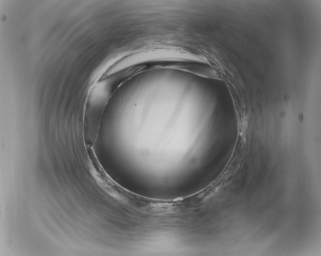 X0000052960052200507221247