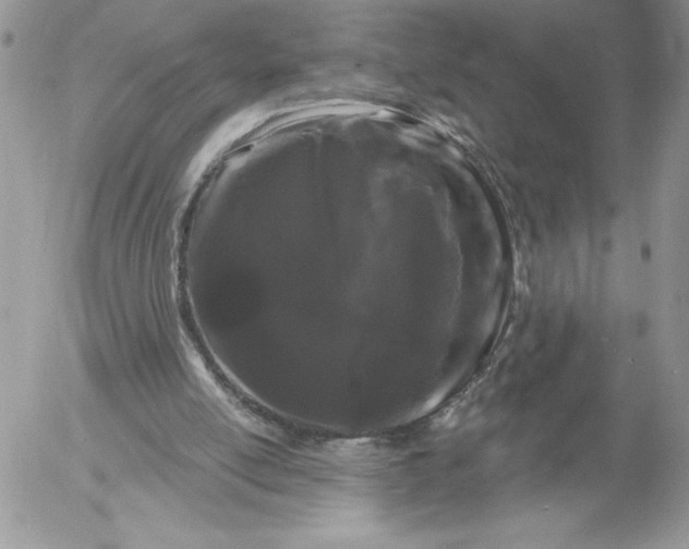 X0000052960054200507221247