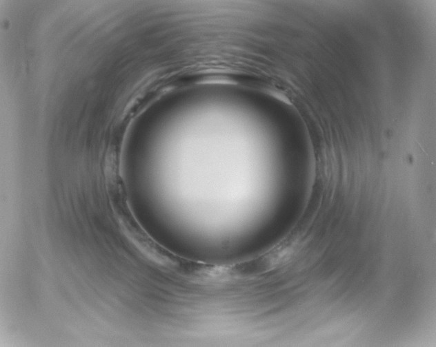 X0000052960092200507221248