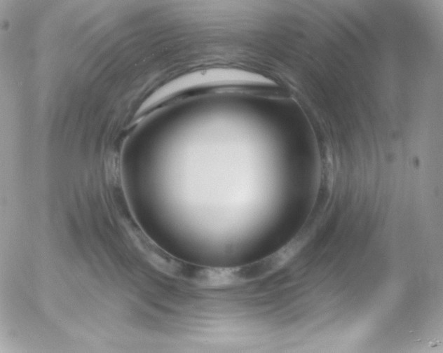 X0000052960093200507221248