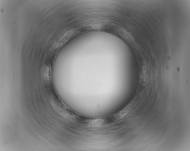 X0000052960122200507221247