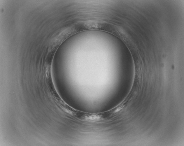 X0000052960125200507221247