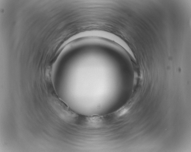 X0000052960141200507221246