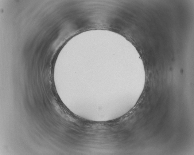 X0000052960146200507221246
