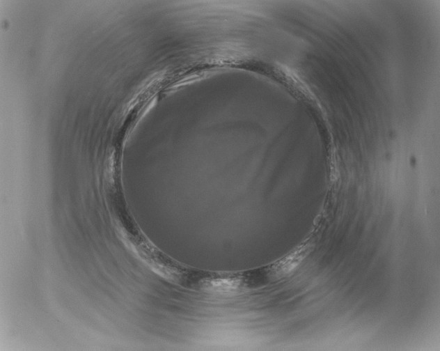 X0000052960163200507221246