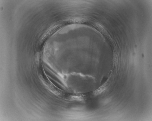 X0000052960167200507221246