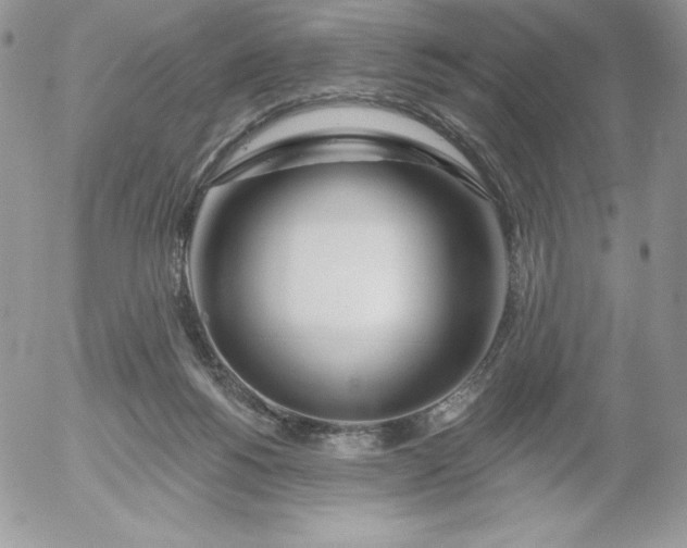 X0000052960168200507221246