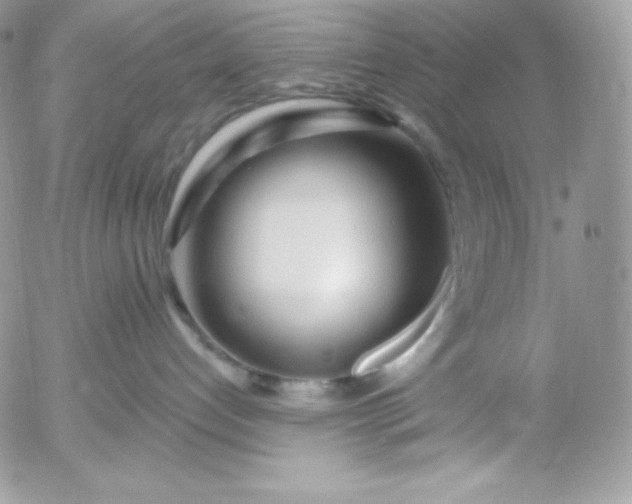 X0000052960192200507221246