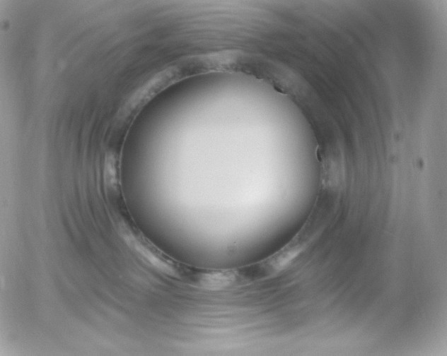 X0000052960238200507221245