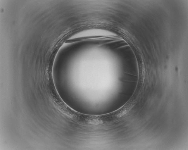 X0000052960258200507221244