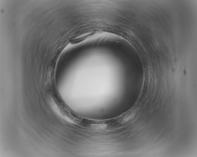 X0000052960266200507221244