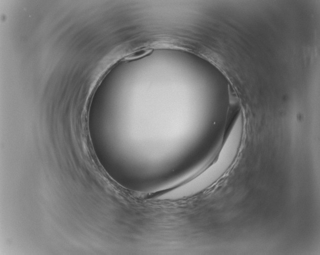X0000052960289200507221244