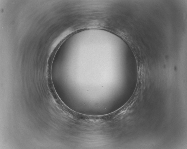 X0000052960292200507221244