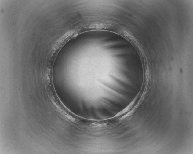 X0000052960305200507221244
