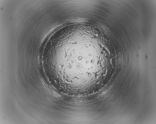X0000052960351200507221243