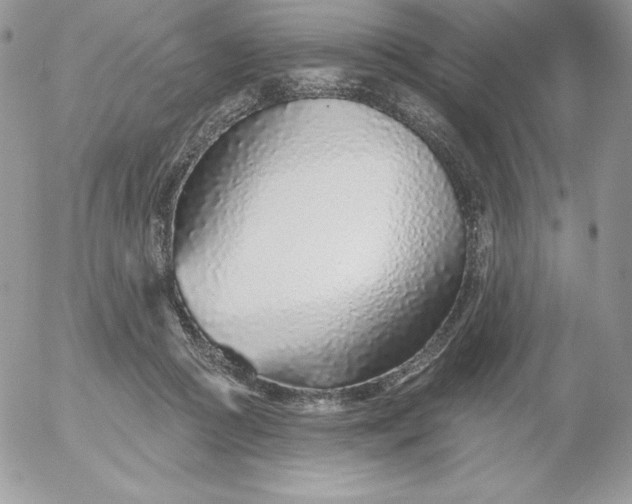 X0000052960361200507221243