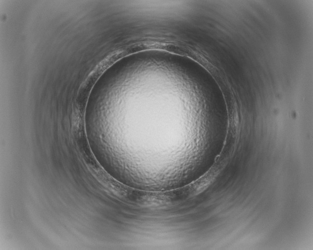 X0000052960367200507221243
