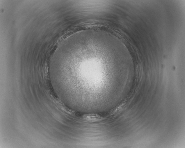 X0000052960372200507221243