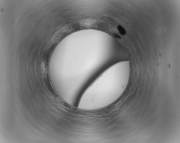 X0000052960420200507221242