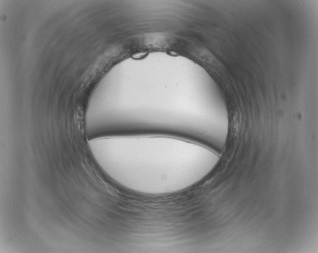 X0000052960424200507221242