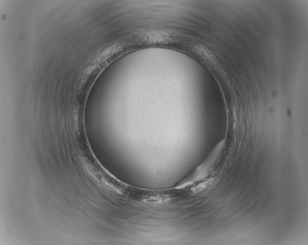 X0000052960447200507221241