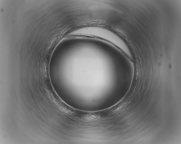 X0000052960453200507221241