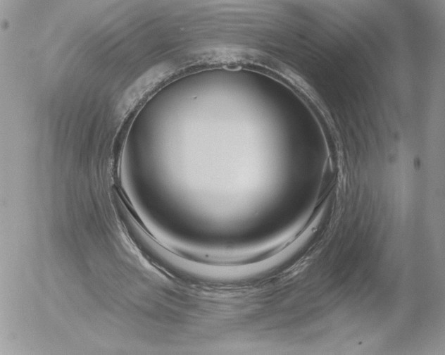 X0000052960485200507221241