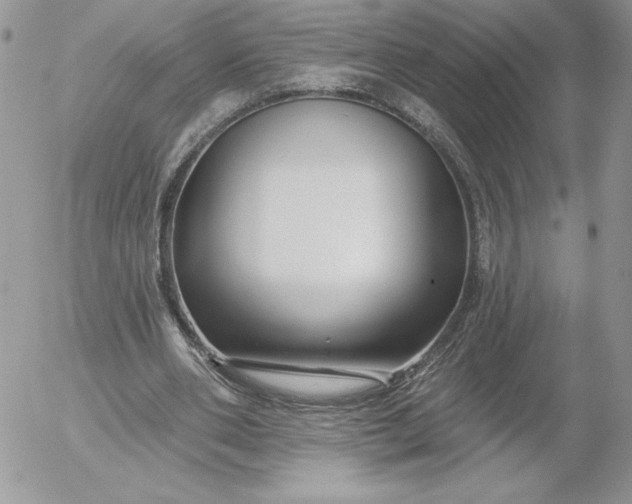 X0000052960486200507221241