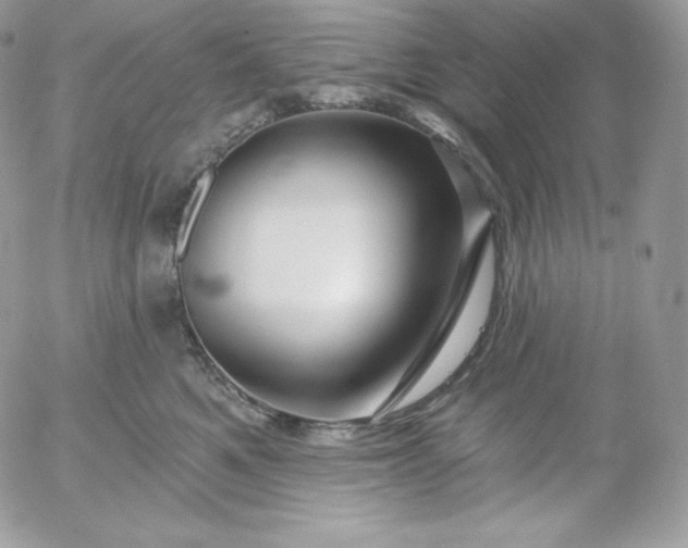 X0000052960521200507221240