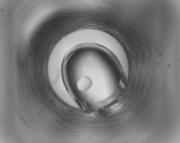 X0000052960524200507221240