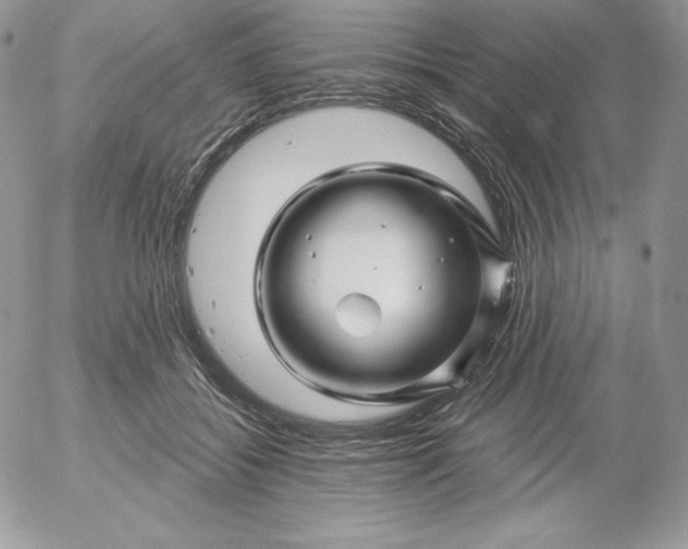 X0000052960556200507221240