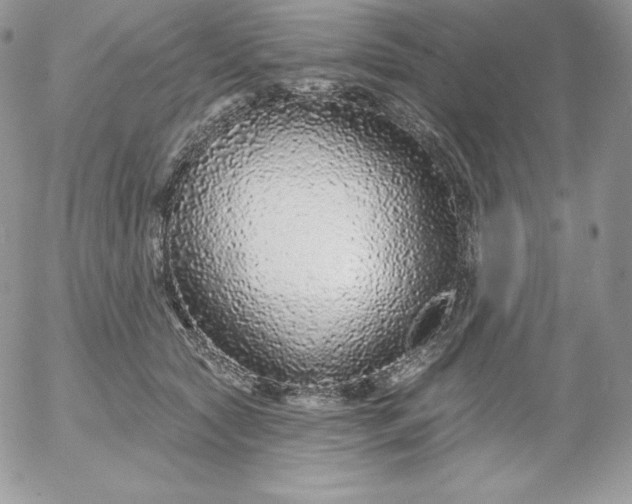 X0000052960561200507221240