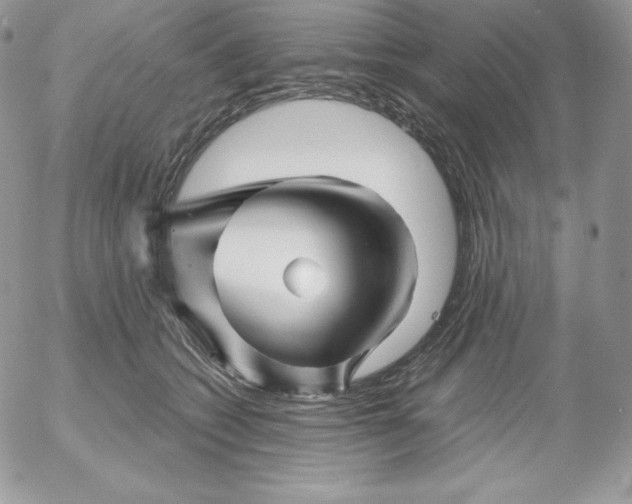 X0000052960562200507221240