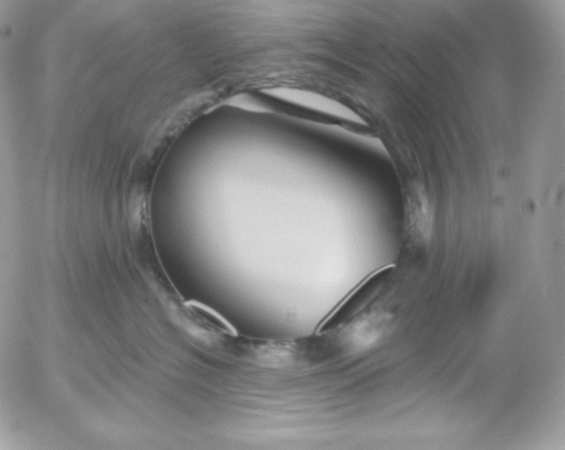 X0000052960574200507221240