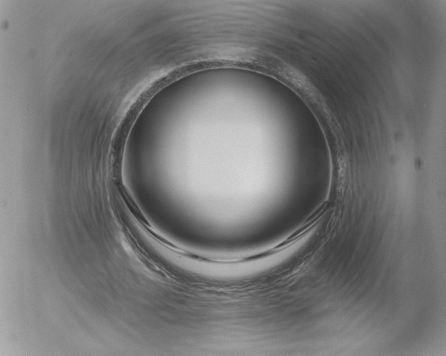 X0000052960580200507221239