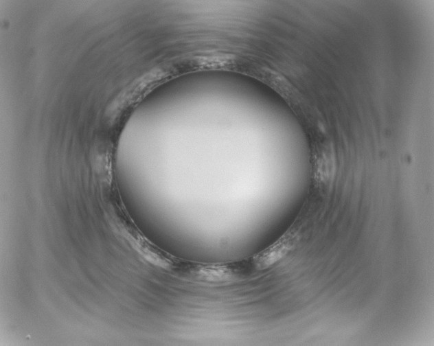 X0000052960666200507221238
