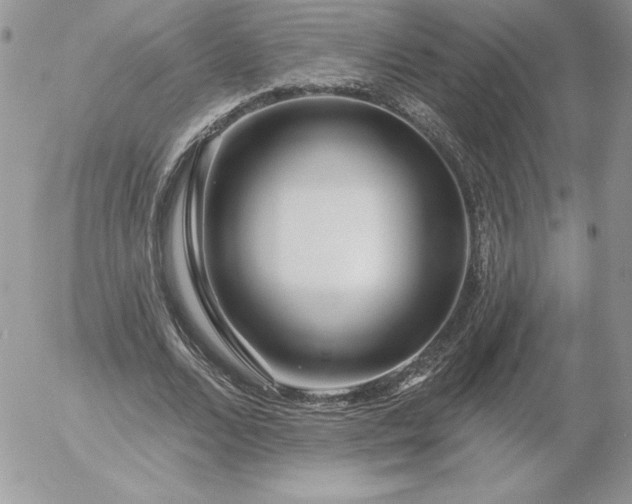 X0000052960680200507221238