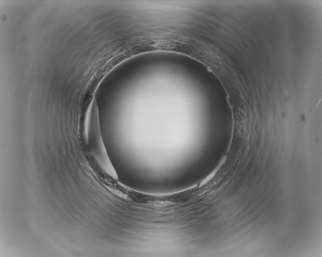 X0000052960748200507221236