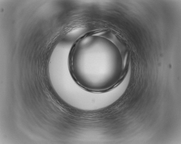 X0000052960750200507221237