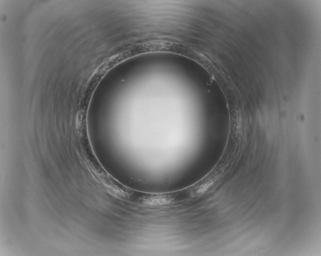 X0000052960759200507221237