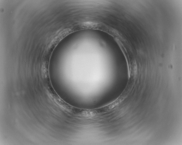 X0000052960764200507221237