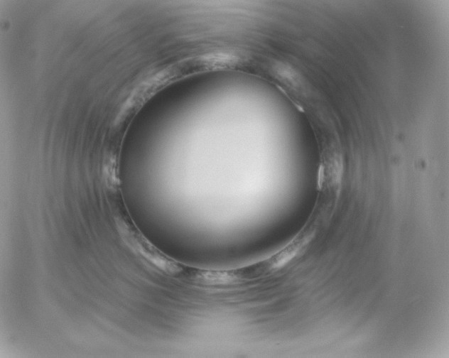 X0000052960766200507221237