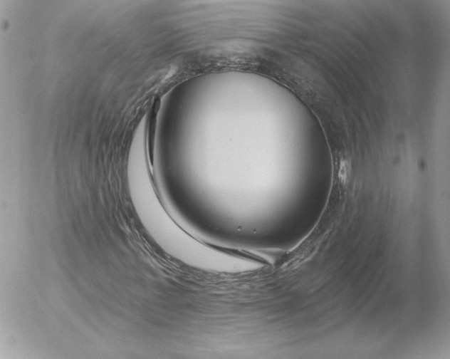 X0000052960771200507221236