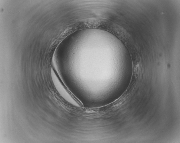 X0000052960772200507221236