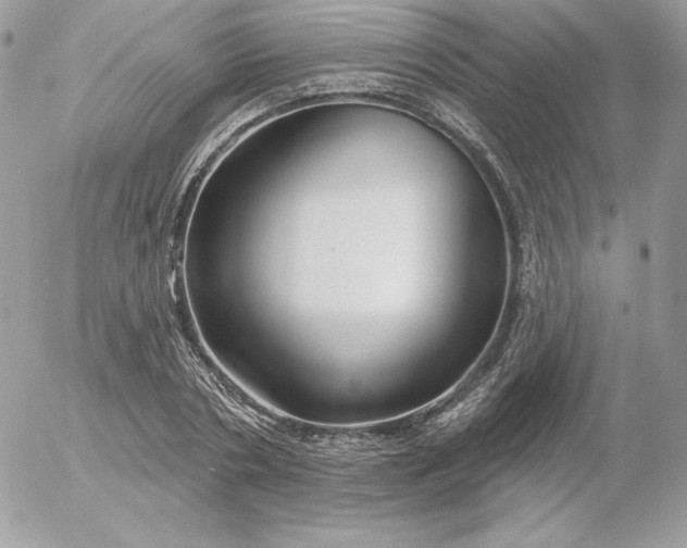 X0000052960786200507221236