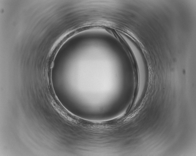 X0000052960788200507221236