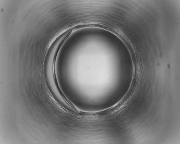 X0000052960789200507221236