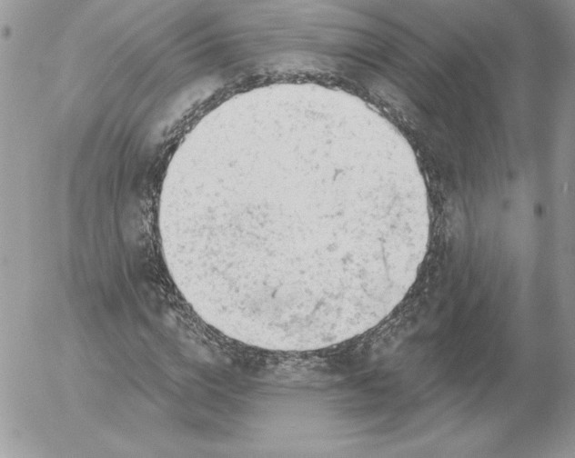 X0000052960824200507221235