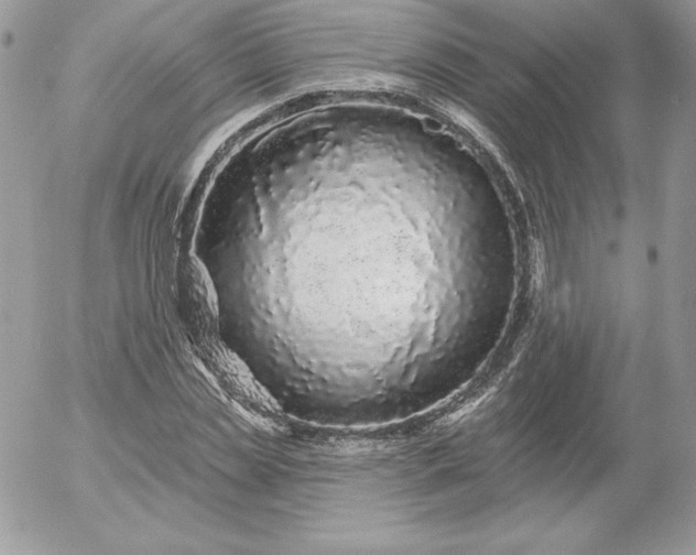 X0000052960829200507221235